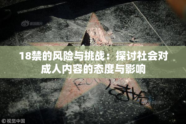 18禁的风险与挑战：探讨社会对成人内容的态度与影响