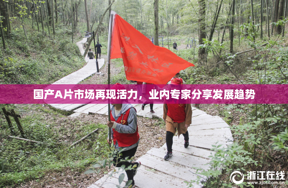 国产A片市场再现活力，业内专家分享发展趋势