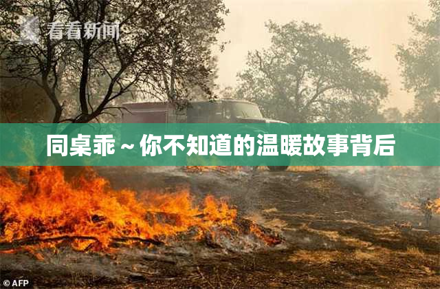 同桌乖～你不知道的温暖故事背后