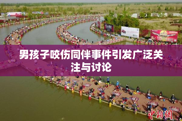 男孩子咬伤同伴事件引发广泛关注与讨论