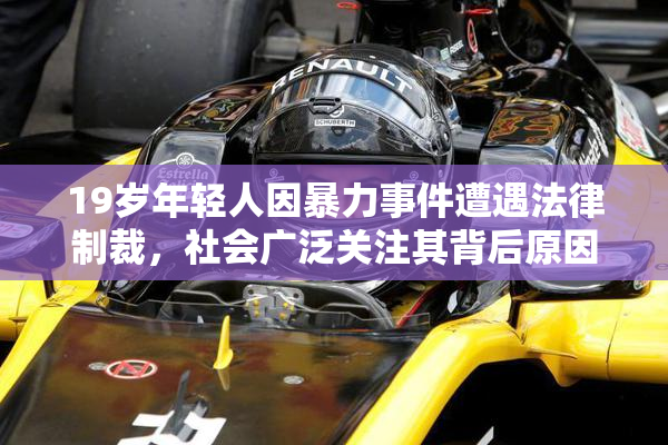 19岁年轻人因暴力事件遭遇法律制裁，社会广泛关注其背后原因
