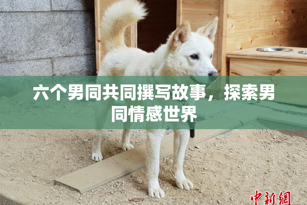 六个男同共同撰写故事，探索男同情感世界