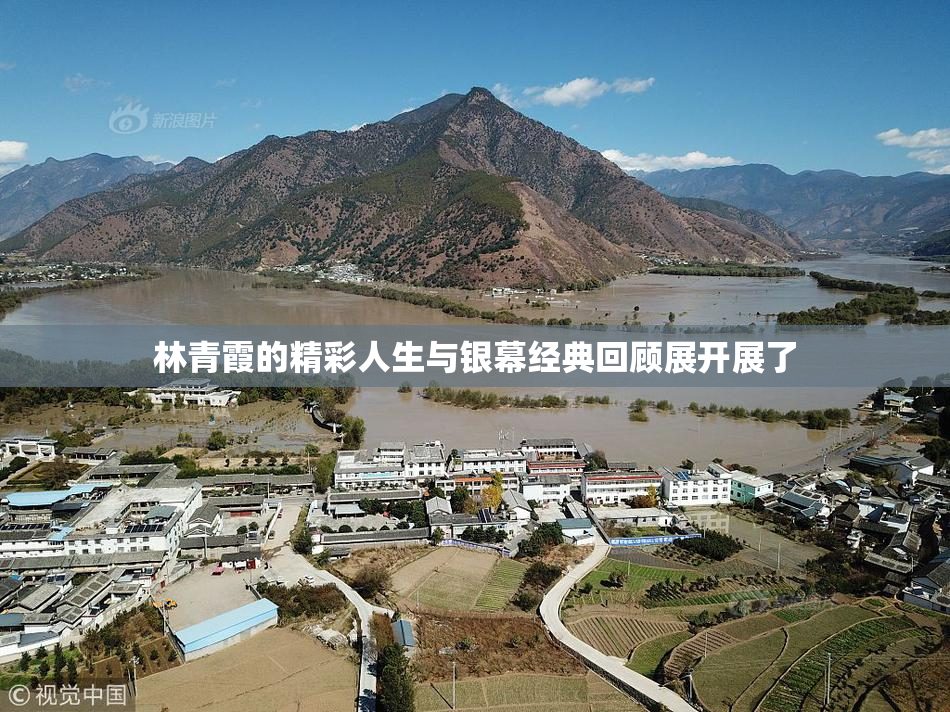 林青霞的精彩人生与银幕经典回顾展开展了