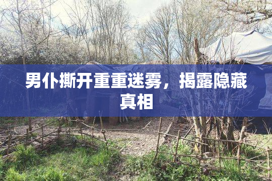 男仆撕开重重迷雾，揭露隐藏真相