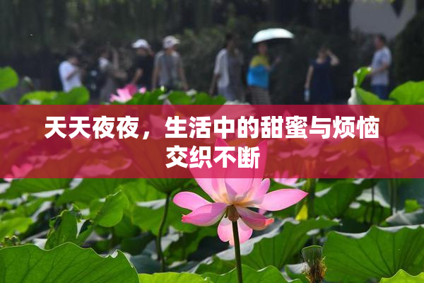 天天夜夜，生活中的甜蜜与烦恼交织不断