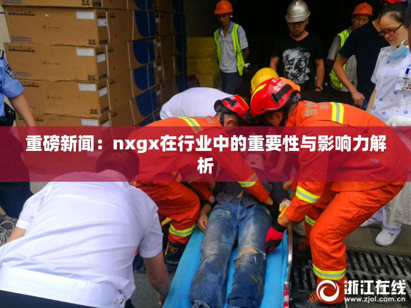 重磅新闻：nxgx在行业中的重要性与影响力解析