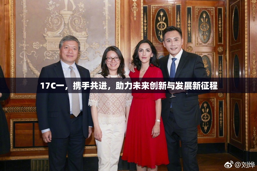 17C一，携手共进，助力未来创新与发展新征程