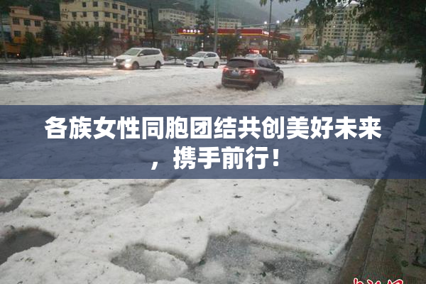各族女性同胞团结共创美好未来，携手前行！