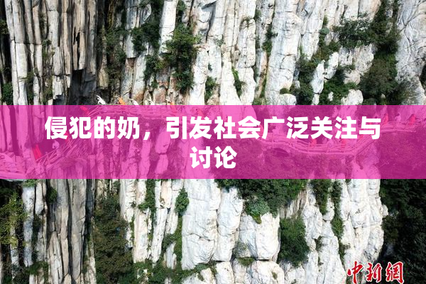 侵犯的奶，引发社会广泛关注与讨论