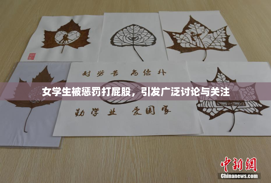 女学生被惩罚打屁股，引发广泛讨论与关注