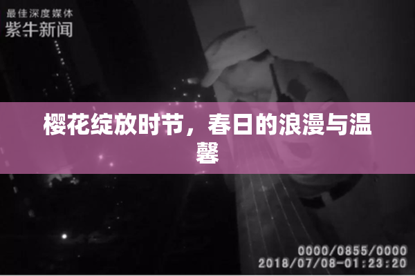 樱花绽放时节，春日的浪漫与温馨