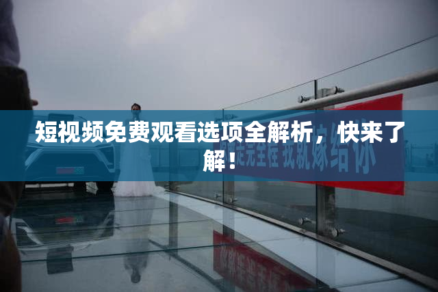 短视频免费观看选项全解析，快来了解！