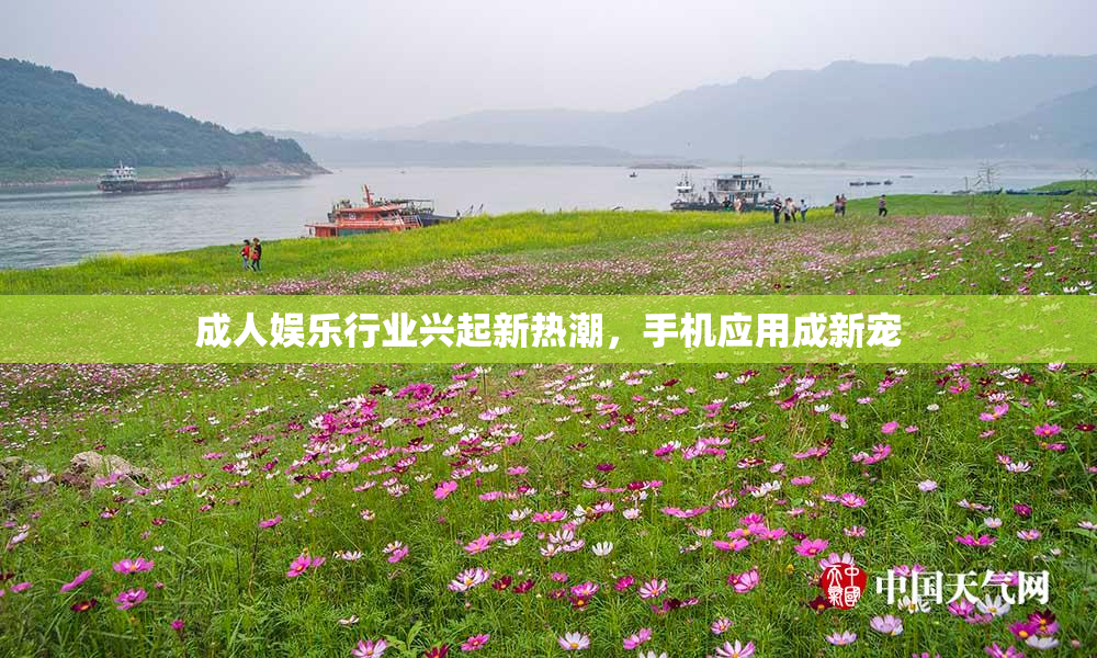 成人娱乐行业兴起新热潮，手机应用成新宠