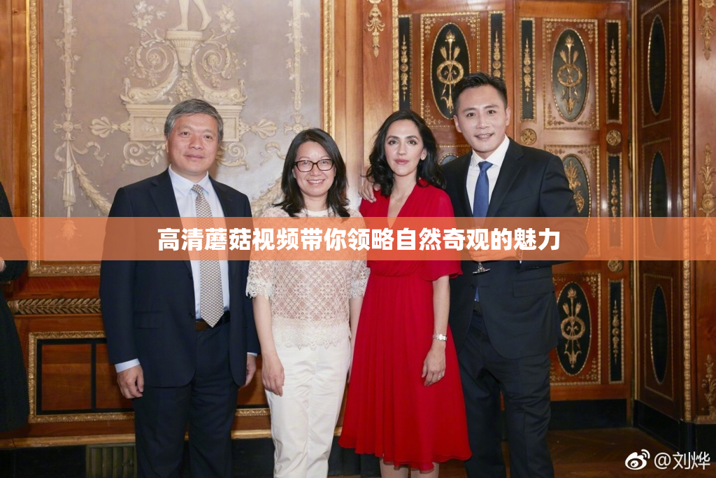 高清蘑菇视频带你领略自然奇观的魅力