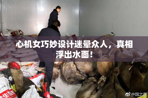 心机女巧妙设计迷晕众人，真相浮出水面！