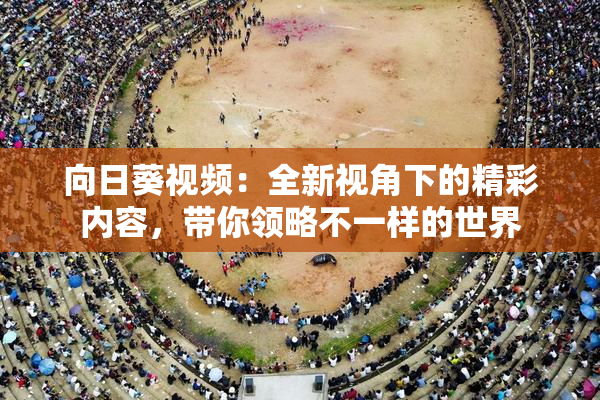 向日葵视频：全新视角下的精彩内容，带你领略不一样的世界