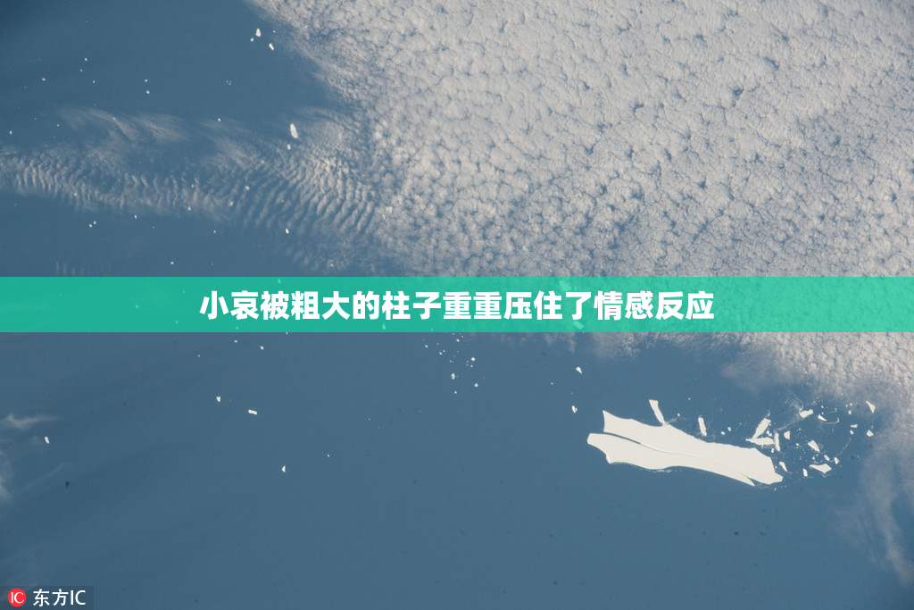 小哀被粗大的柱子重重压住了情感反应