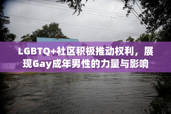 LGBTQ+社区积极推动权利，展现Gay成年男性的力量与影响