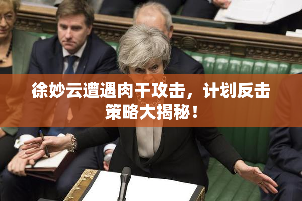徐妙云遭遇肉干攻击，计划反击策略大揭秘！
