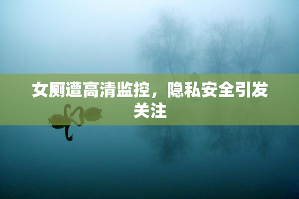女厕遭高清监控，隐私安全引发关注