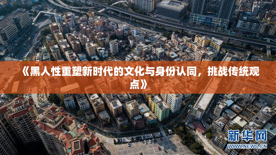 《黑人性重塑新时代的文化与身份认同，挑战传统观点》