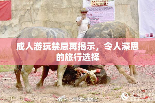 成人游玩禁忌再揭示，令人深思的旅行选择