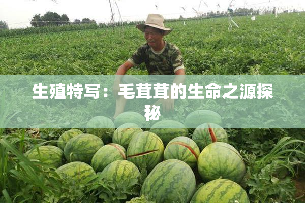 生殖特写：毛茸茸的生命之源探秘