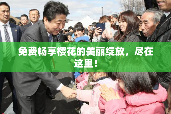 免费畅享樱花的美丽绽放，尽在这里！