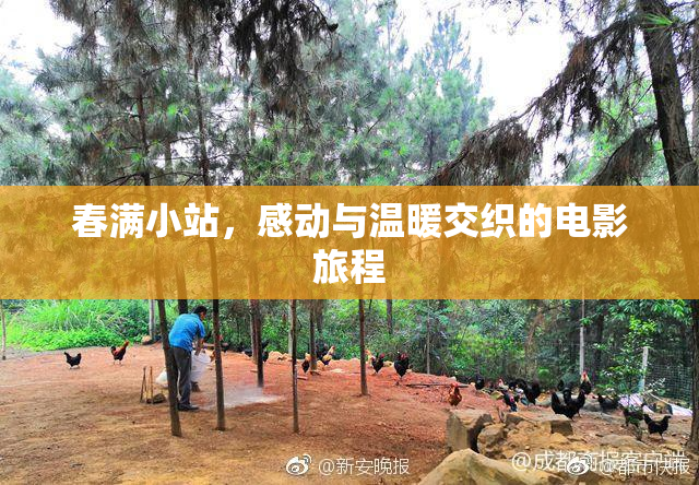 春满小站，感动与温暖交织的电影旅程