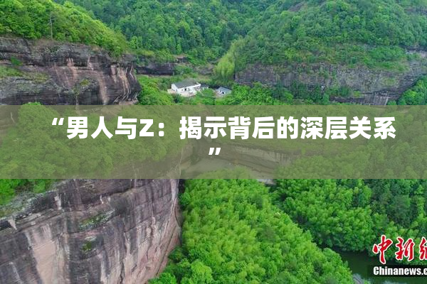 “男人与Z：揭示背后的深层关系”
