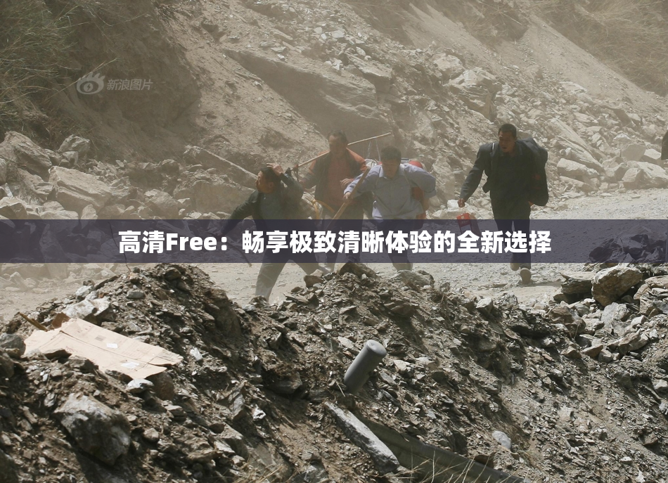 高清Free：畅享极致清晰体验的全新选择