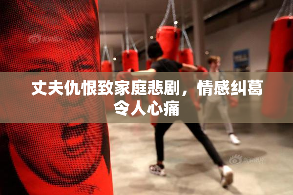 丈夫仇恨致家庭悲剧，情感纠葛令人心痛