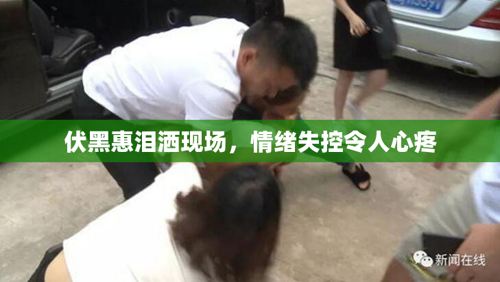 伏黑惠泪洒现场，情绪失控令人心疼