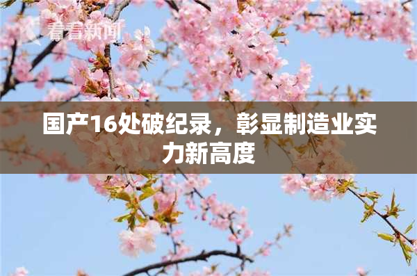 国产16处破纪录，彰显制造业实力新高度
