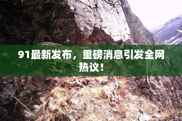 91最新发布，重磅消息引发全网热议！