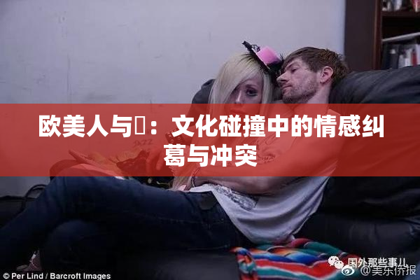 欧美人与嘼：文化碰撞中的情感纠葛与冲突