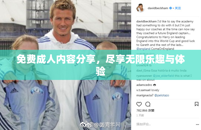 免费成人内容分享，尽享无限乐趣与体验