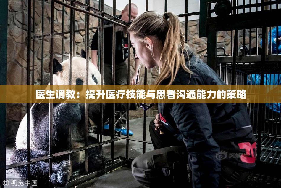 医生调教：提升医疗技能与患者沟通能力的策略
