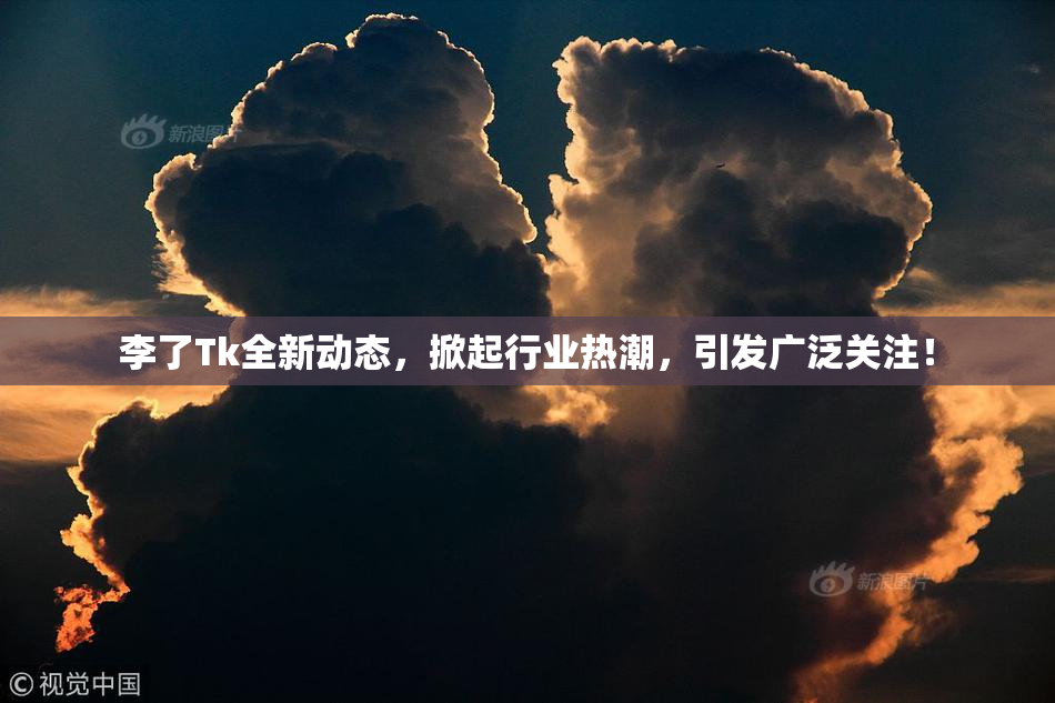 李了Tk全新动态，掀起行业热潮，引发广泛关注！