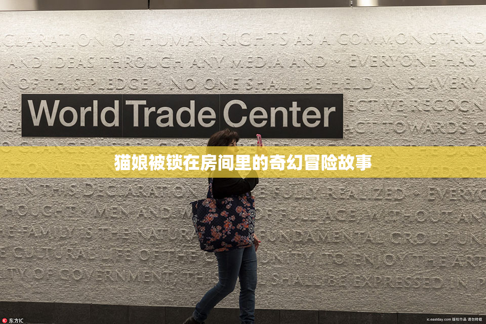 猫娘被锁在房间里的奇幻冒险故事