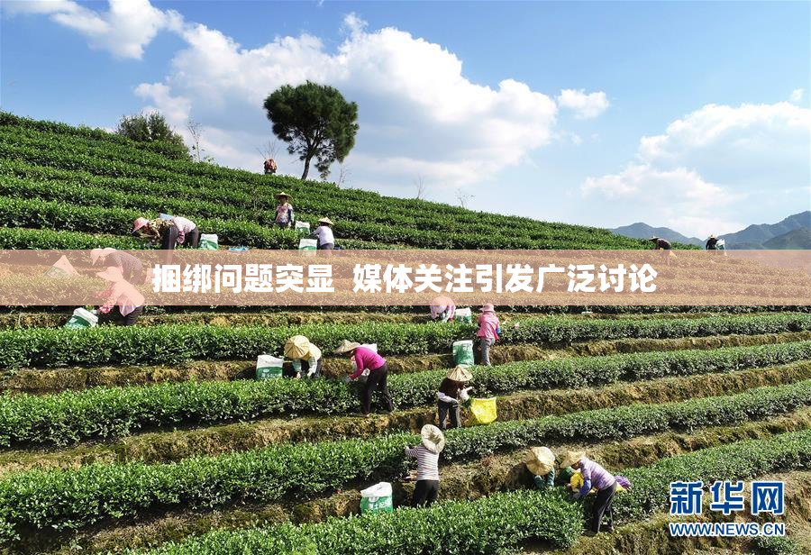 捆绑问题突显  媒体关注引发广泛讨论
