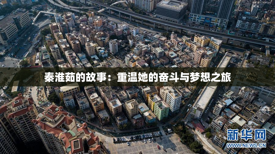 秦淮茹的故事：重温她的奋斗与梦想之旅