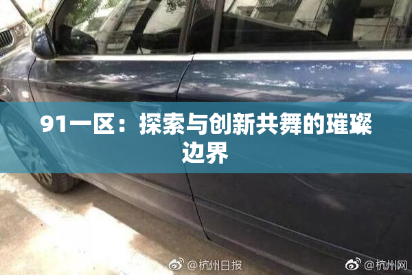91一区：探索与创新共舞的璀璨边界