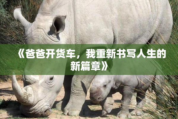 《爸爸开货车，我重新书写人生的新篇章》