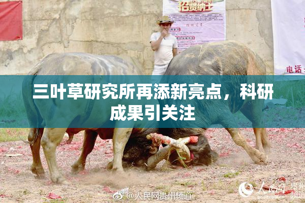 三叶草研究所再添新亮点，科研成果引关注