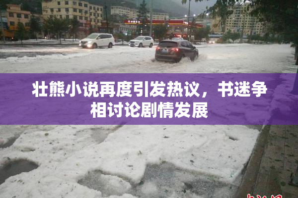 壮熊小说再度引发热议，书迷争相讨论剧情发展