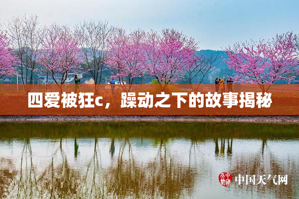 四爱被狂c，躁动之下的故事揭秘