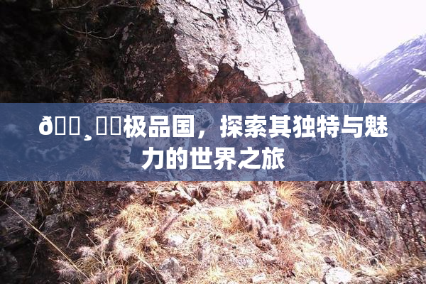 🌸‌✿极品国，探索其独特与魅力的世界之旅