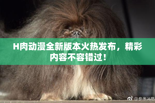 H肉动漫全新版本火热发布，精彩内容不容错过！