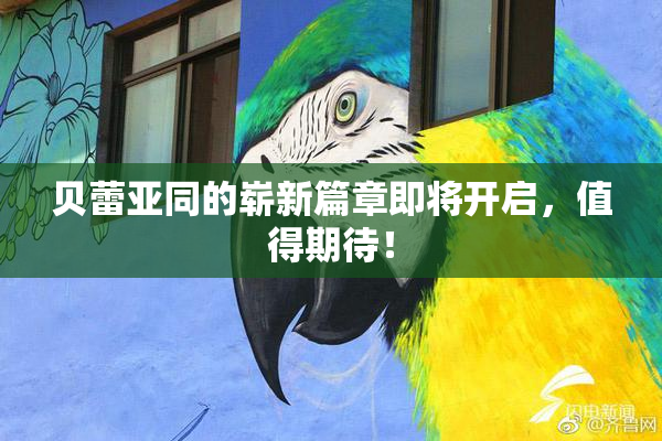 贝蕾亚同的崭新篇章即将开启，值得期待！